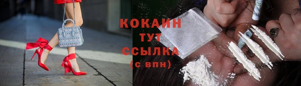 спиды Абаза
