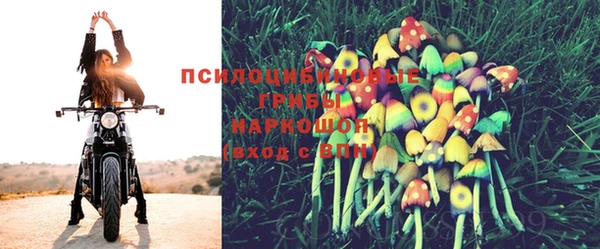 трава Надым