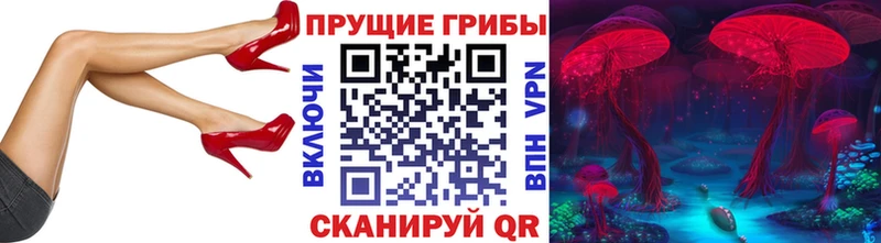 kraken ссылки  Уфа  Псилоцибиновые грибы Cubensis 